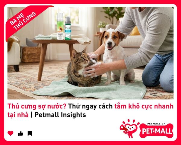 Thú cưng sợ nước? Thử ngay cách tắm khô cực nhanh tại nhà | Petmall Insights 4