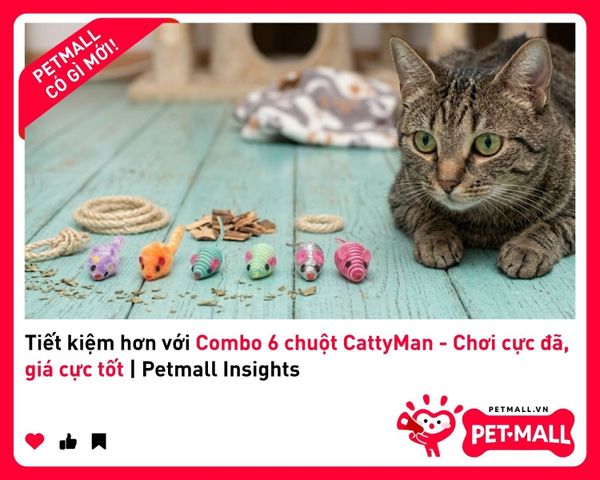 Tiết kiệm hơn với Combo 6 chuột CattyMan - Chơi cực đã, giá cực tốt | Petmall Insights 1