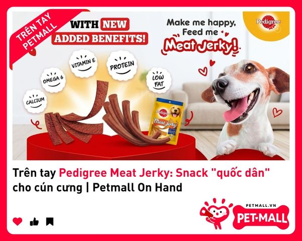 Trên tay Pedigree Meat Jerky: Snack 