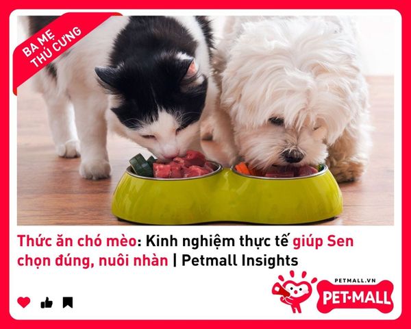 Thức ăn chó mèo: Kinh nghiệm thực tế giúp Sen chọn đúng, nuôi nhàn | Petmall Insights 2