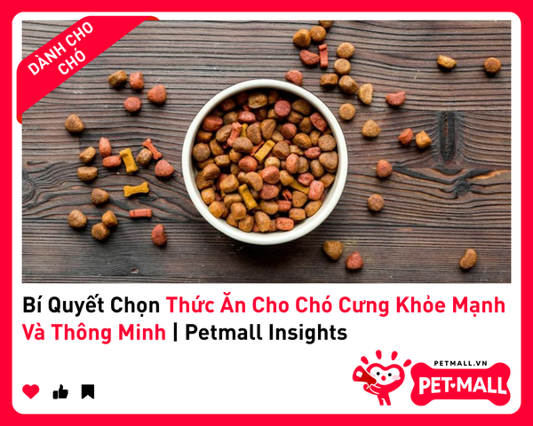 Bí Quyết Chọn Thức Ăn Cho Chó Cưng Khỏe Mạnh Và Thông Minh | Petmall Insights