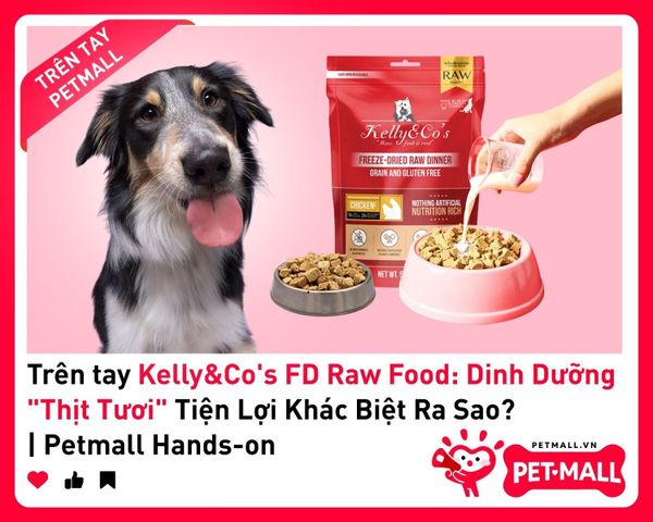 Trên tay Kelly&Co's FD Raw Food: Dinh Dưỡng 