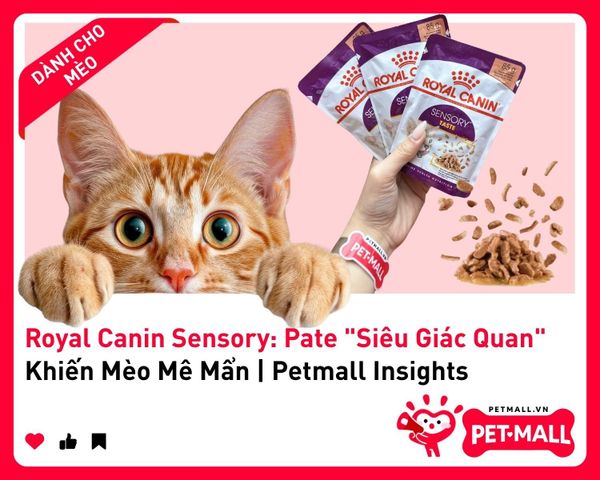 Royal Canin Sensory: Pate 