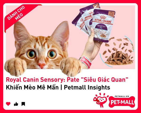 Royal Canin Sensory: Pate 