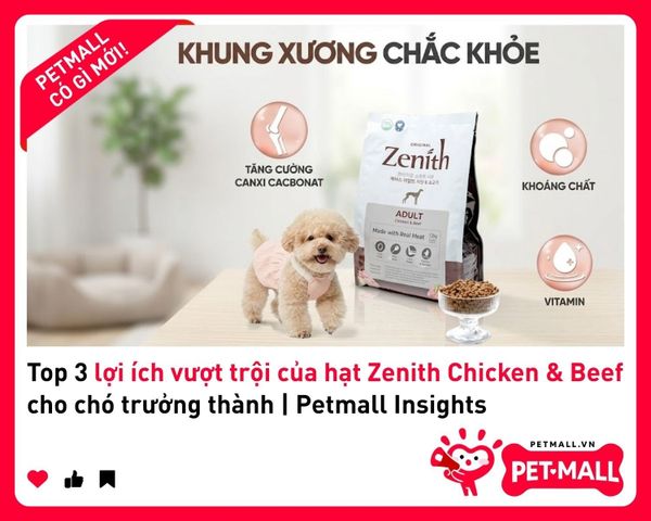 Top 3 lợi ích vượt trội của hạt Zenith Chicken & Beef cho chó trưởng thành | Petmall Insights 1