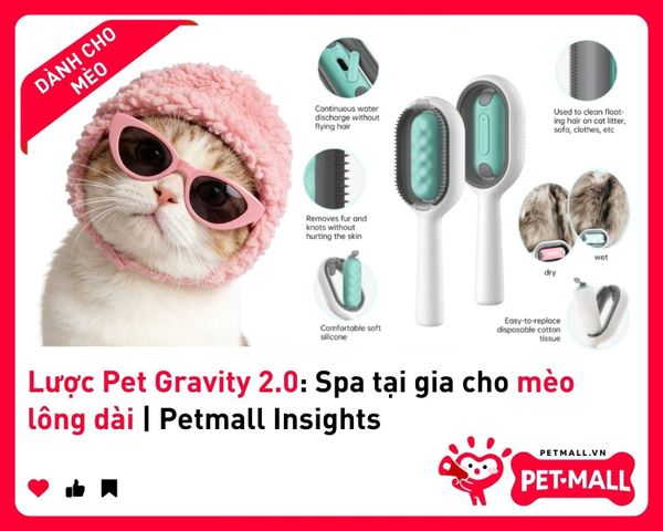 Lược Pet Gravity 2.0: Spa tại gia cho mèo lông dài | Petmall Insights 2