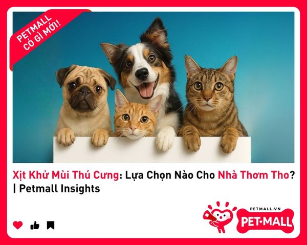 Xịt Khử Mùi Thú Cưng: Lựa Chọn Nào Cho Nhà Thơm Tho? | Petmall Insights 2