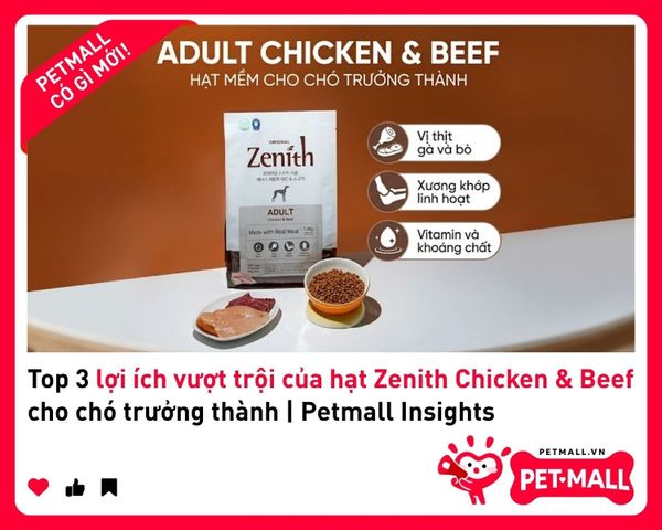 Top 3 lợi ích vượt trội của hạt Zenith Chicken & Beef cho chó trưởng thành | Petmall Insights 2