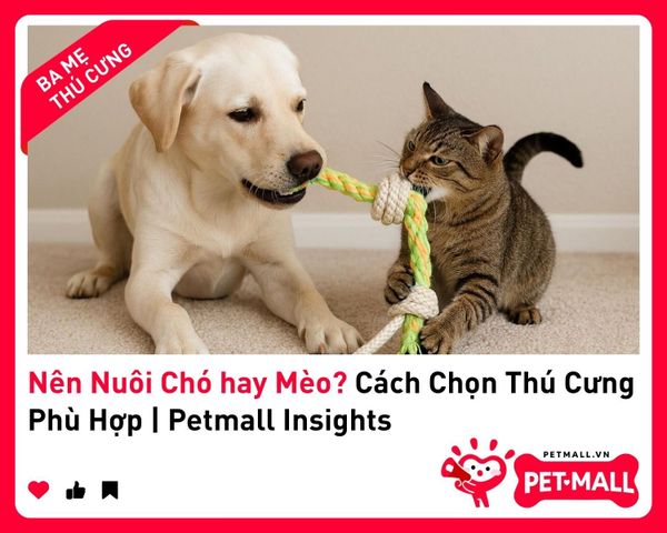 Nên Nuôi Chó hay Mèo? Cách Chọn Thú Cưng Phù Hợp | Petmall Insights 2