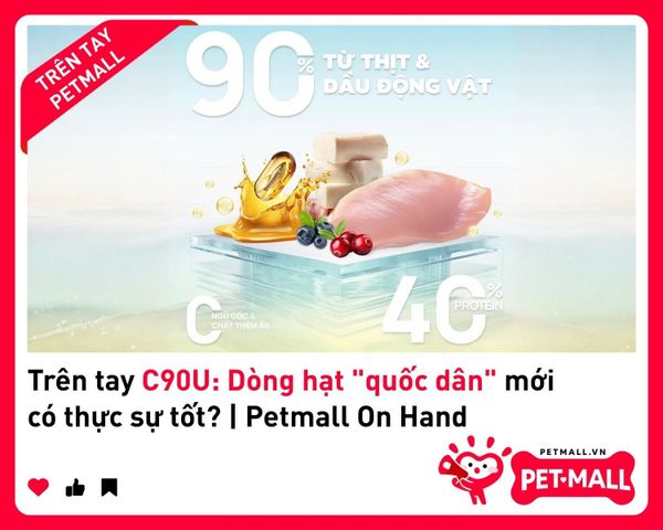 Trên tay C90U: Dòng hạt 