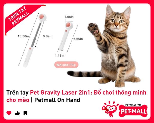 Trên tay Pet Gravity Laser 2in1: Đồ chơi thông minh cho mèo | Petmall On Hand 1