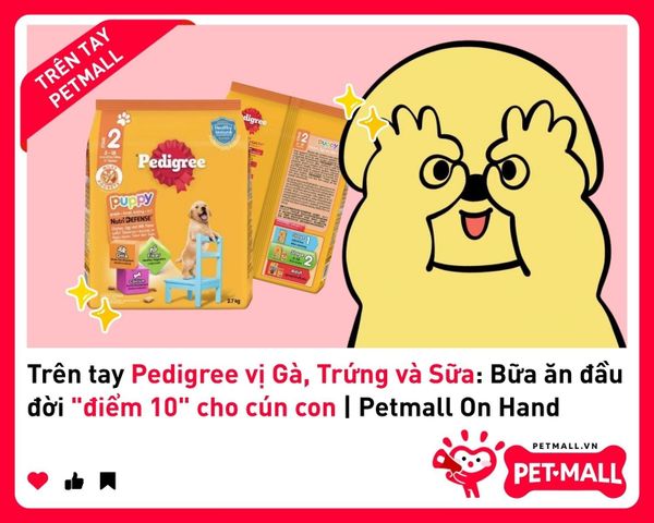 Trên tay Pedigree vị Gà, Trứng và Sữa: Bữa ăn đầu đời 