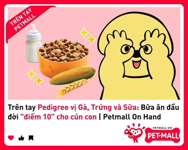 Trên tay Pedigree vị Gà, Trứng và Sữa: Bữa ăn đầu đời 