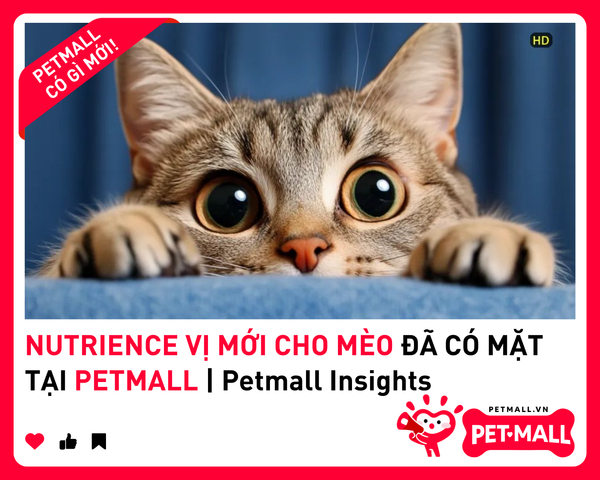 NUTRIENCE VỊ MỚI CHO MÈO ĐÃ CÓ MẶT TẠI PETMALL | Petmall Insights