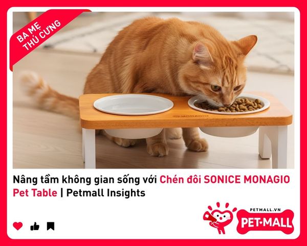 Nâng tầm không gian sống với Chén đôi SONICE MONAGIO Pet Table | Petmall Insights 1