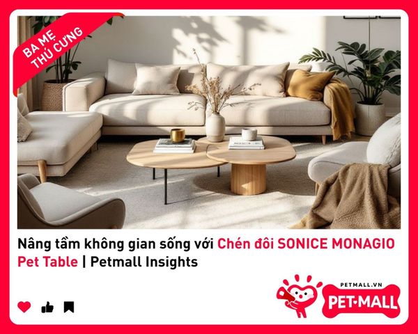 Nâng tầm không gian sống với Chén đôi SONICE MONAGIO Pet Table | Petmall Insights 2