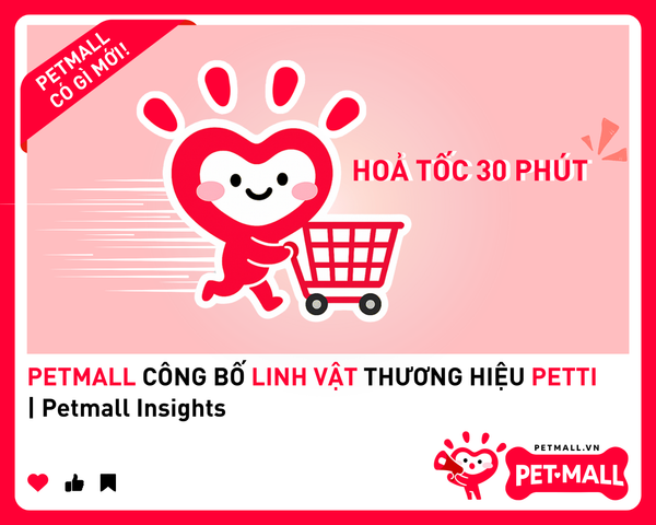 PETMALL CÔNG BỐ LINH VẬT THƯƠNG HIỆU PETTI | Petmall Insights