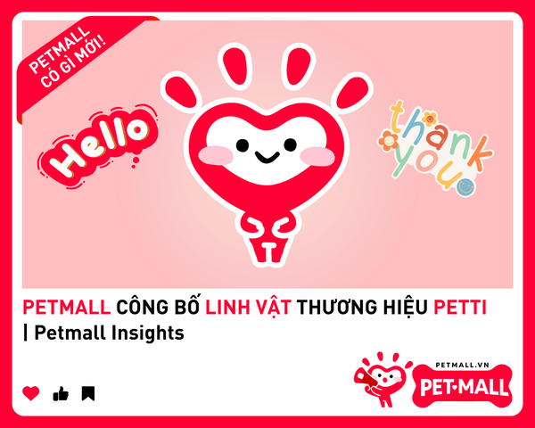 PETMALL CÔNG BỐ LINH VẬT THƯƠNG HIỆU PETTI | Petmall Insights