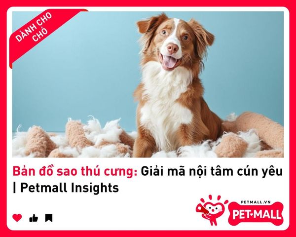 Bản đồ sao thú cưng: Giải mã nội tâm cún yêu | Petmall Insights 2