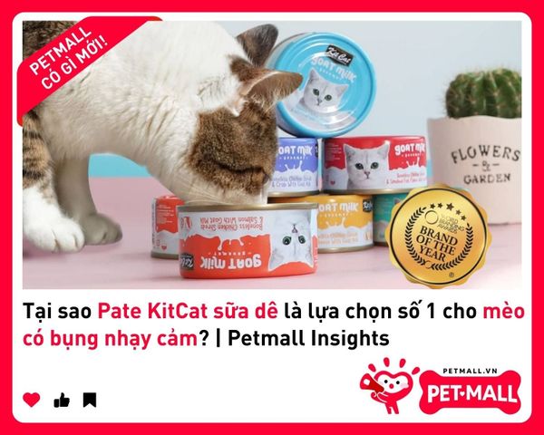 Tại sao Pate KitCat sữa dê là lựa chọn số 1 cho mèo có bụng nhạy cảm? | Petmall Insights 1