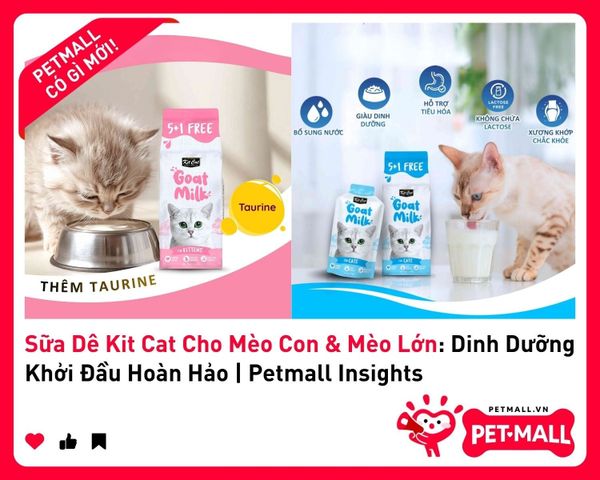 Sữa Dê Kit Cat Cho Mèo Con & Mèo Lớn: Dinh Dưỡng Khởi Đầu Hoàn Hảo | Petmall Insights 2