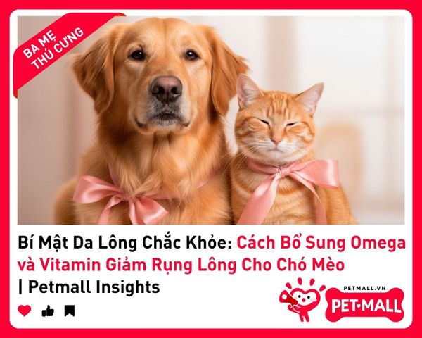 Bí Mật Da Lông Chắc Khỏe: Cách Bổ Sung Omega và Vitamin Giảm Rụng Lông Cho Chó Mèo | Petmall Insights - 1