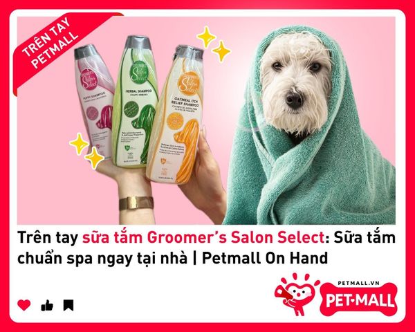 Trên tay sữa tắm Groomer’s Salon Select: Sữa tắm chuẩn spa ngay tại nhà | Petmall On Hand 1