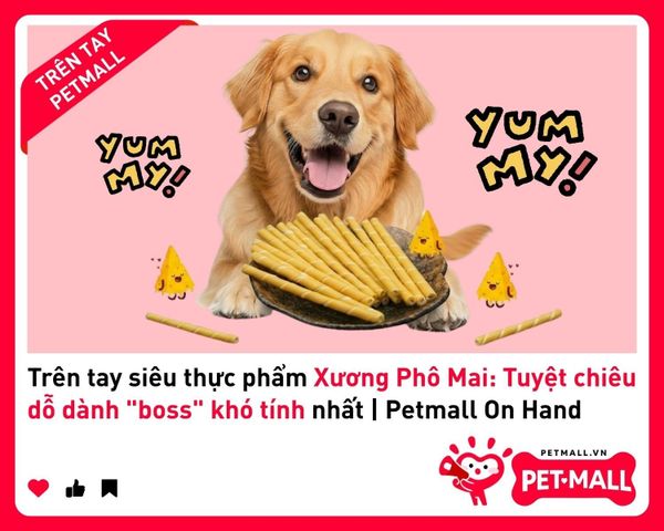 Trên tay siêu thực phẩm Xương Phô Mai: Tuyệt chiêu dỗ dành 