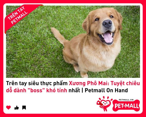 Trên tay siêu thực phẩm Xương Phô Mai: Tuyệt chiêu dỗ dành 