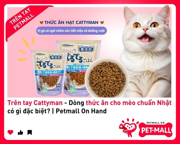 Trên tay Cattyman - Dòng thức ăn cho mèo chuẩn Nhật có gì đặc biệt? | Petmall On Hand 1