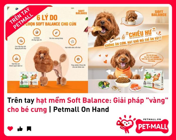 Trên tay hạt mềm Soft Balance: Giải pháp 