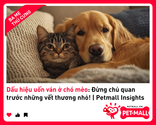 Dấu hiệu uốn ván ở chó mèo: Đừng chủ quan trước những vết thương nhỏ! | Petmall Insights 2