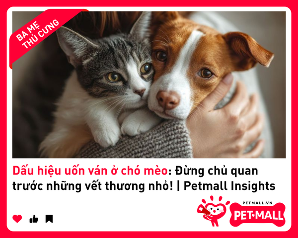 Dấu hiệu uốn ván ở chó mèo: Đừng chủ quan trước những vết thương nhỏ! | Petmall Insights 3