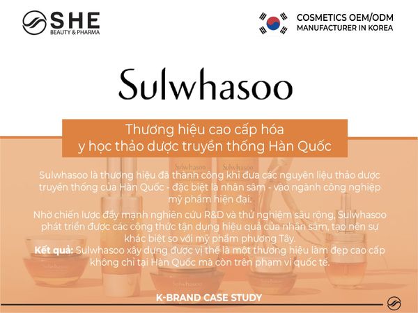 case study marketing SHE 4