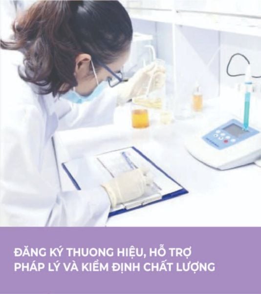 gia công mỹ phẩm Hàn Quốc