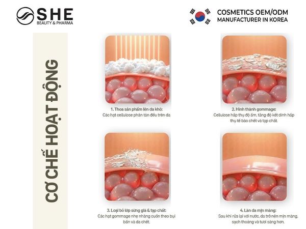 sữa rửa mặt 3in1