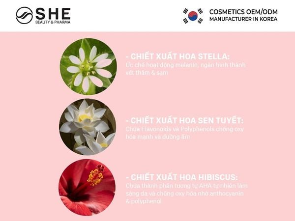 kem dưỡng nâng tone reBom 4