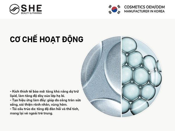 hoạt chất Volufiline 2