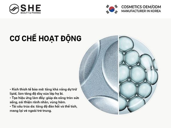 Gia công mỹ phẩm Volufiline 2