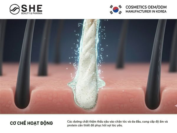 gia công sản phẩm phục hồi tóc 3