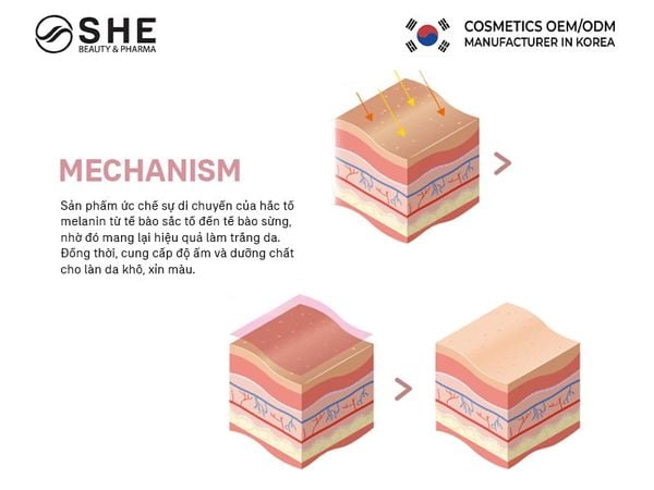 gia công kem dưỡng da 4