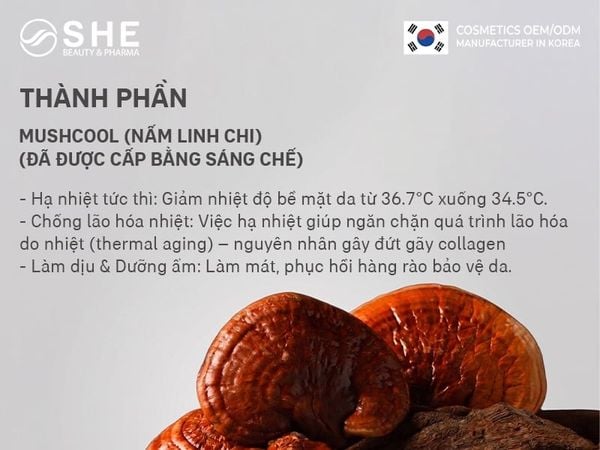 sản xuất kem chống nắng tại Kolmar