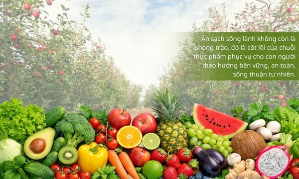 thực phẩm sạch