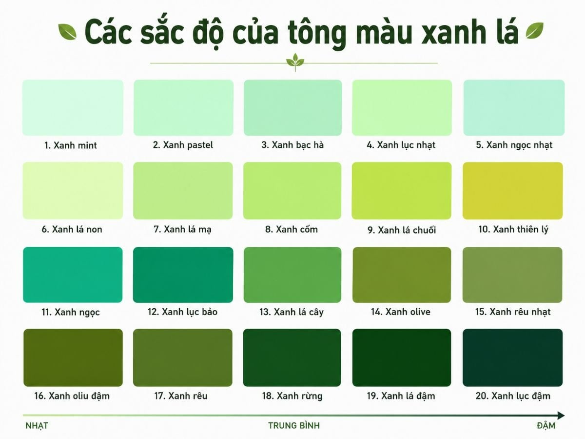 Các sắc độ tông màu xanh lá