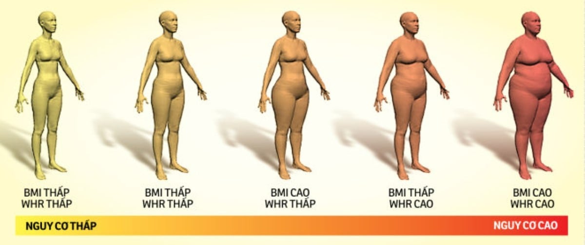 Chỉ số WHR là waist to hip ratio