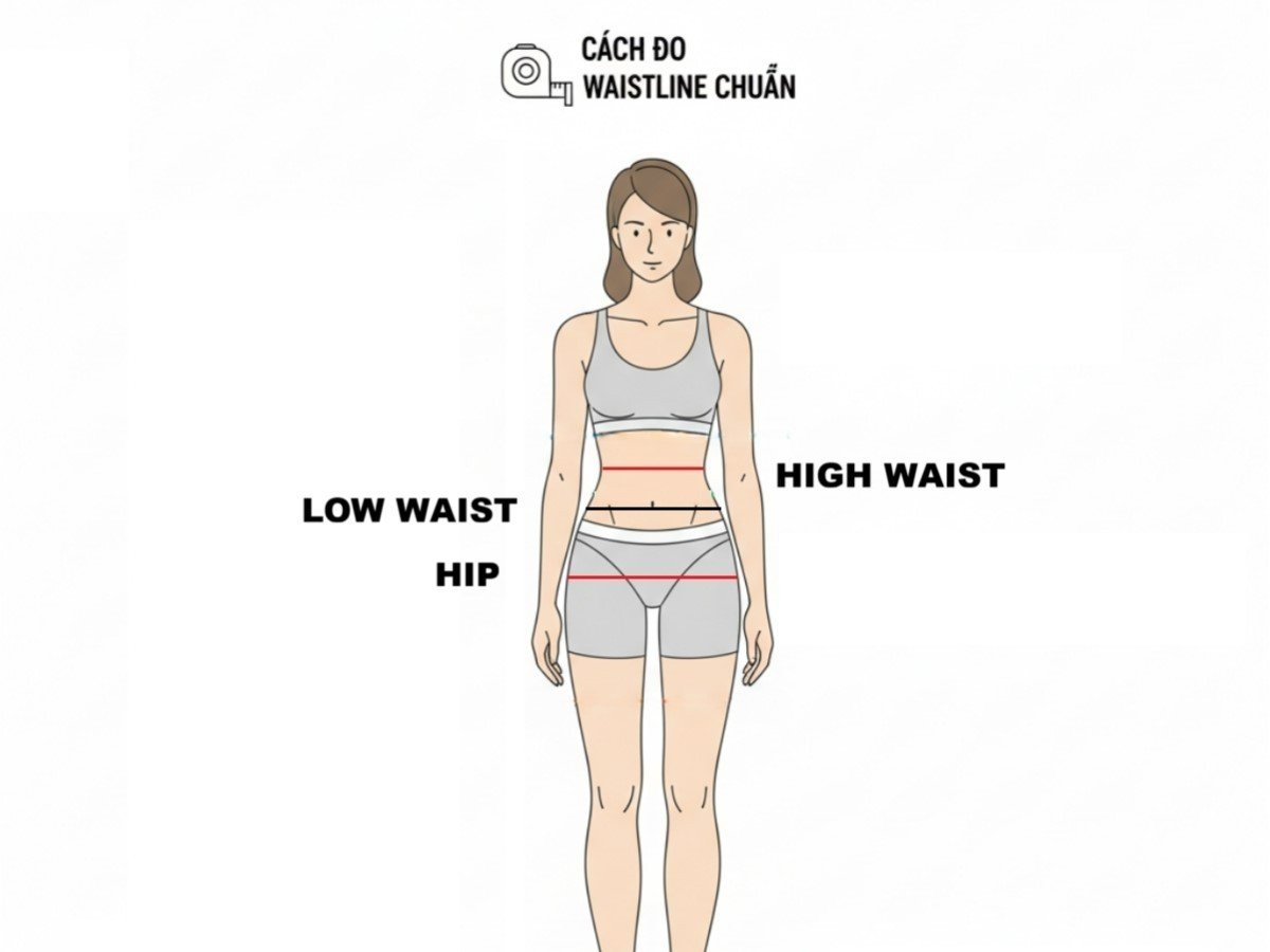 Waistline là đường ranh giới giữa phần thân trên và thân dưới