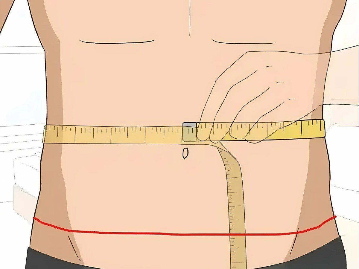 Waist circumference là số đo vòng eo (waist size)