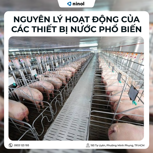 thiet-bi-nuoc
