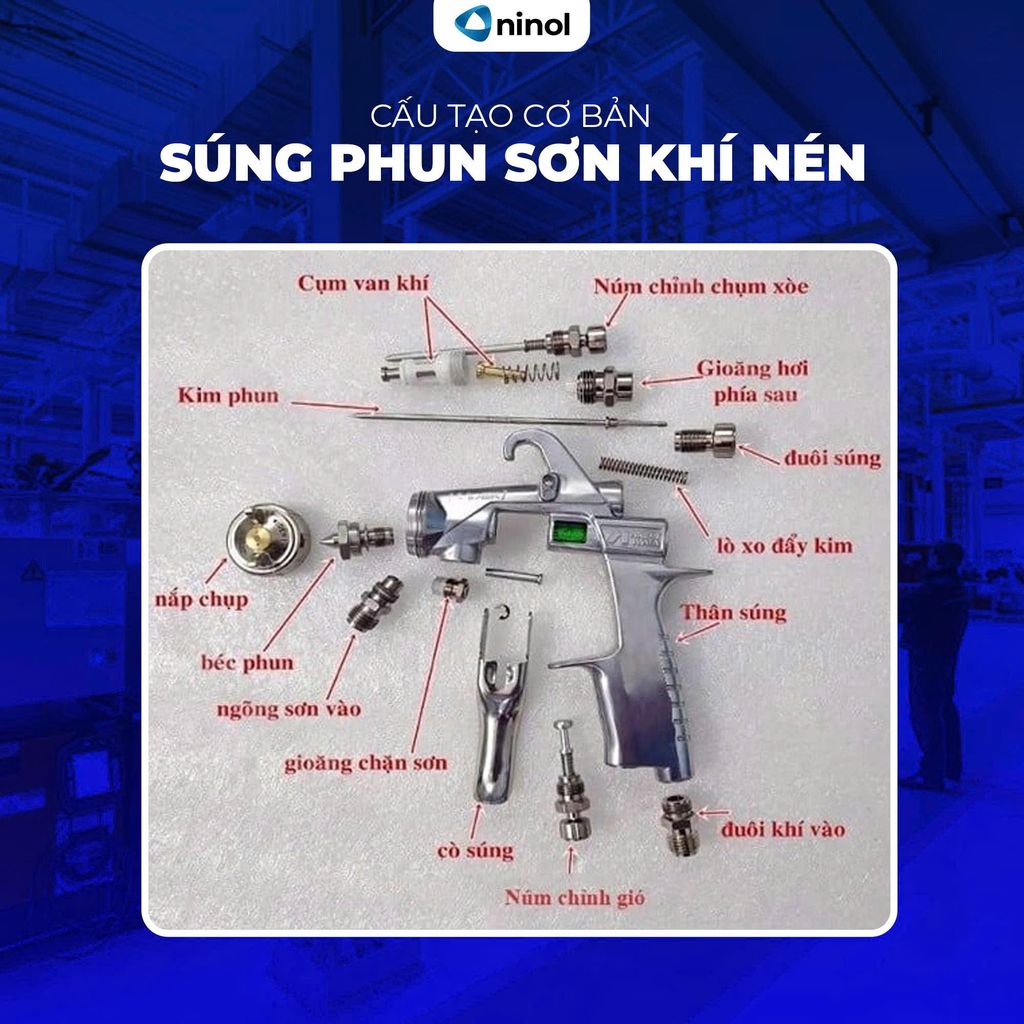 sung-phun-son-khi-nen