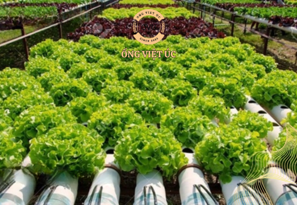 Cách Tái Chế Và Tái Sử Dụng Ống PVC